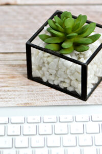 light-wooden-background-with-succulent-in-white-gravel-and-silver-keyboard-at-the-bottom-scaled