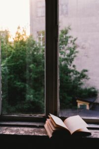 reading book looking out window