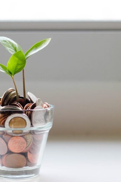 small jar of coins with green plant growing out of it