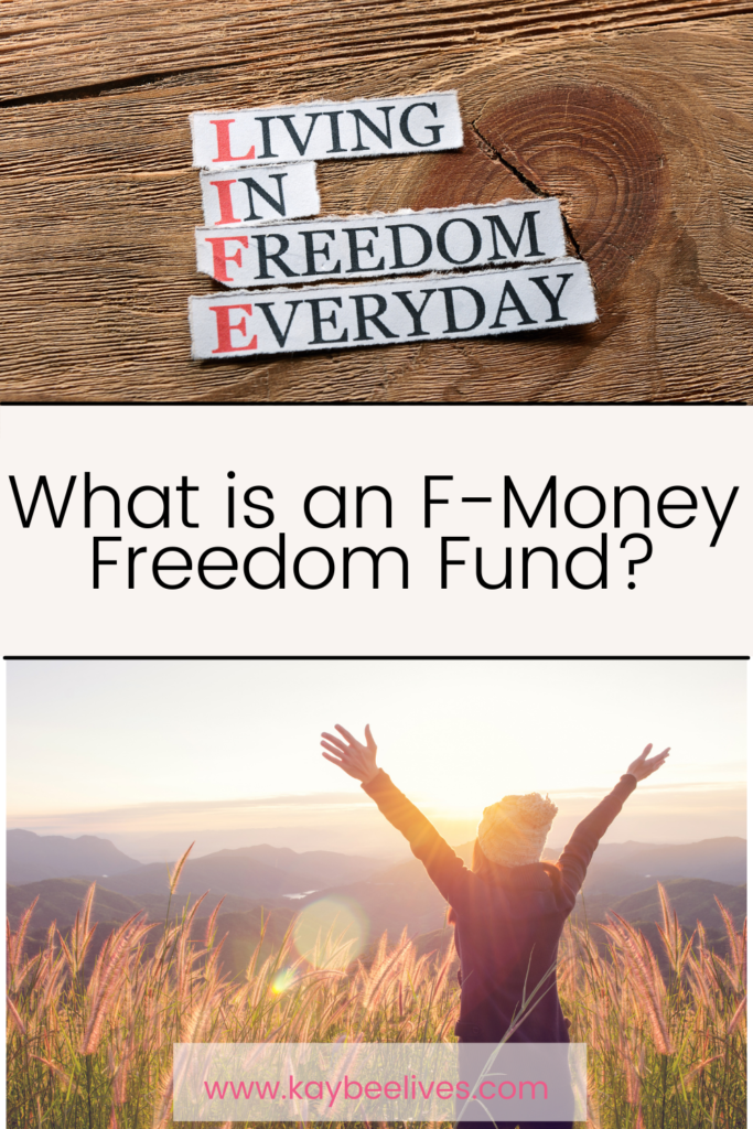 Pin- What is an F-money freedom fund