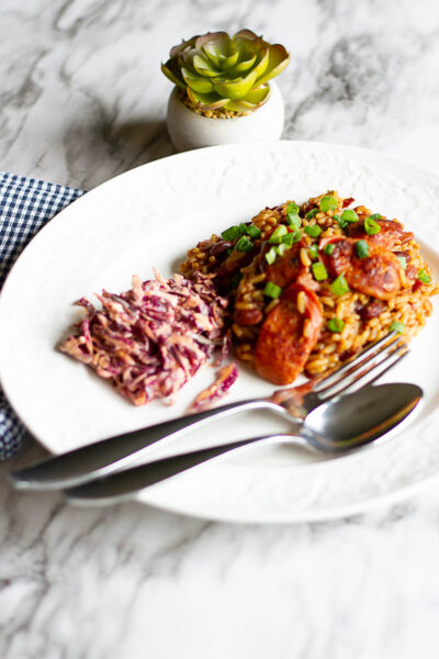 Plate of Jambalaya with slaw and blue checked towel