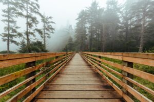 Empty wood bridge in foggy weather