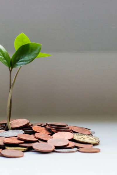 plant growing from pile of coins
