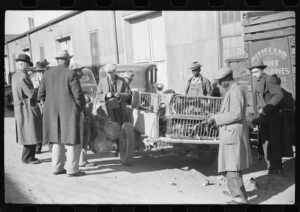 Historical photo of men selling birds- why do you work?