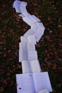 pathway in grass of open books