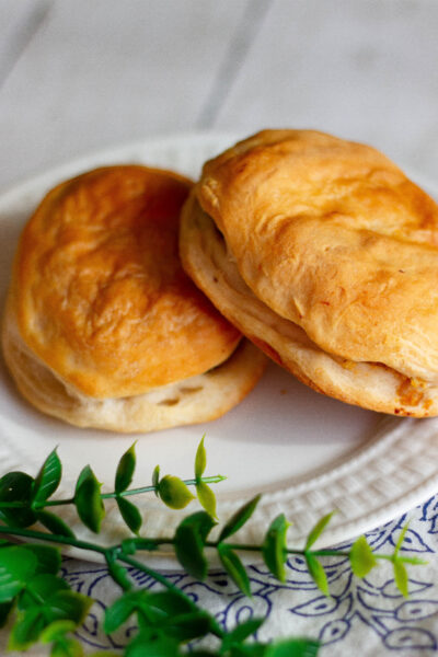 Egg pockets close up