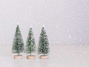 small faux Christmas trees covered with fake snow
