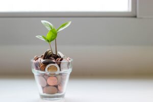 plant growing from money in a cup