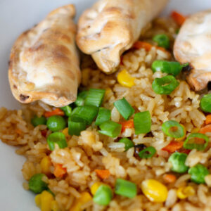 close up picture of fried rice and potstickers on a plate