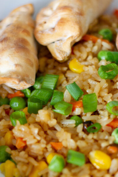 close up picture of fried rice and potstickers on a plate