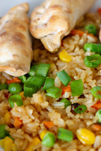 Fried Rice and Frozen Potsticker Dinner!
