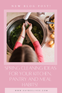 Pin- Spring Cleaning your kitchen