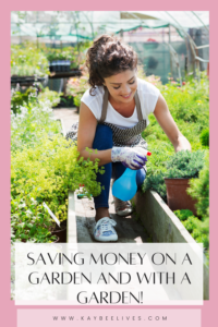 pin- Saving Money on a Garden and With a Garden!