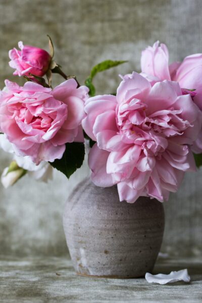 pink flowers in ceramic grey vase