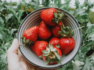 strawberries picked from garden in a bowl