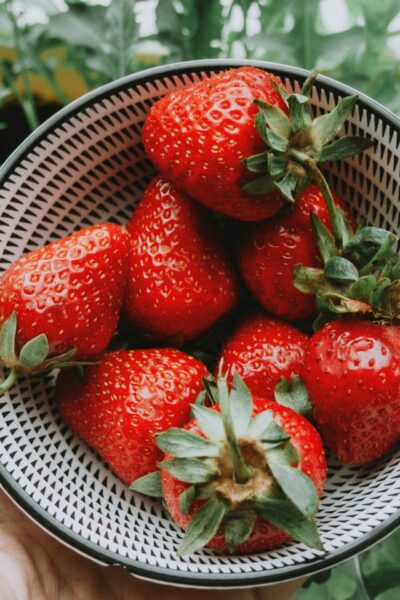 Incorporating a Garden in your Healthy Eating Plan