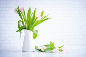 pink tulips in a white pitcher