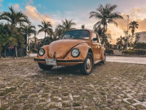 VW beetle sitting in lot in front of palm trees