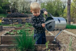 small boy watering garden with large metal watering can