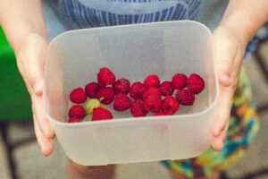 raspberries fresh picked from a garden in a tub