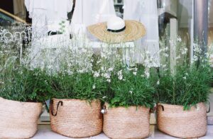 Flower plants in wicker baskets sitting outside