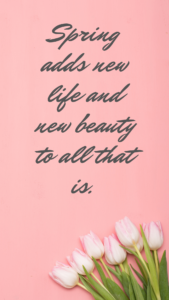Spring Motivational quote