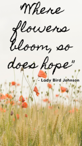 Spring Motivational quoteq