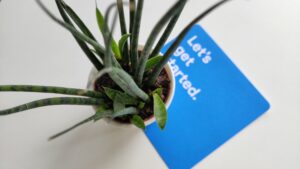 green succulent from above with a card saying lets get started